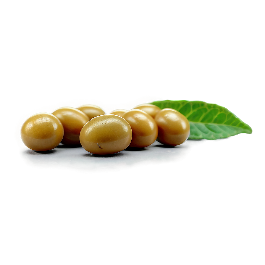 Mustard Seed Png Ypm99 PNG Image