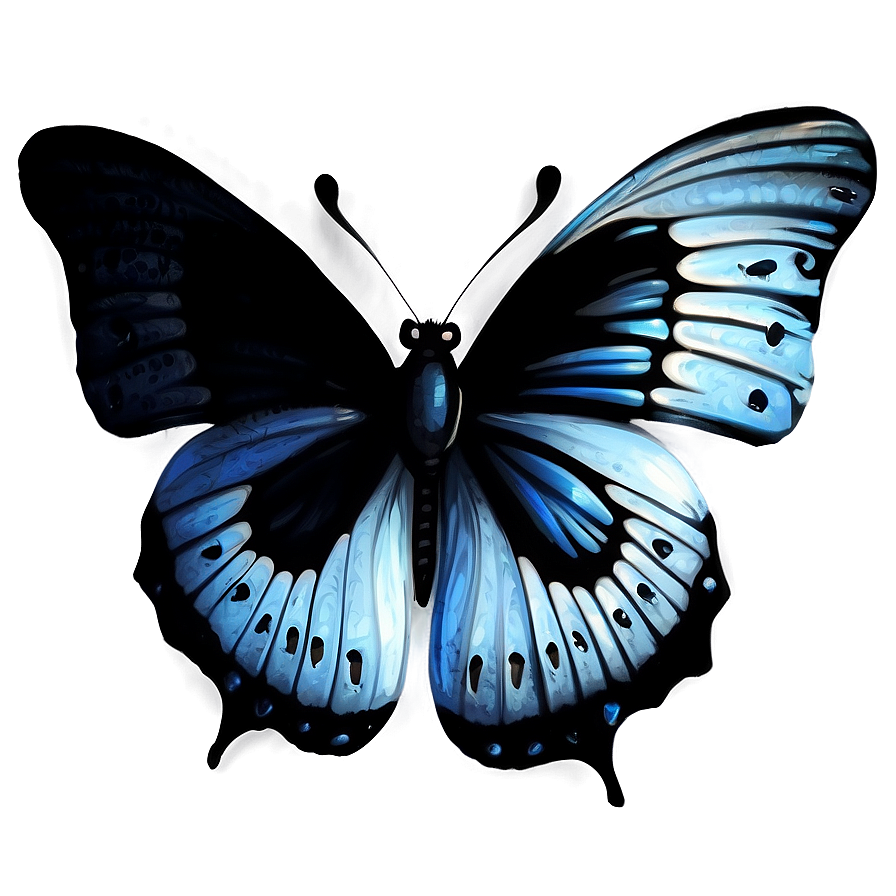 Mysterious Black Butterfly Png Jen7 PNG Image