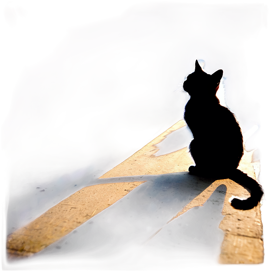 Mysterious Cat Silhouette Png Iek32 PNG Image