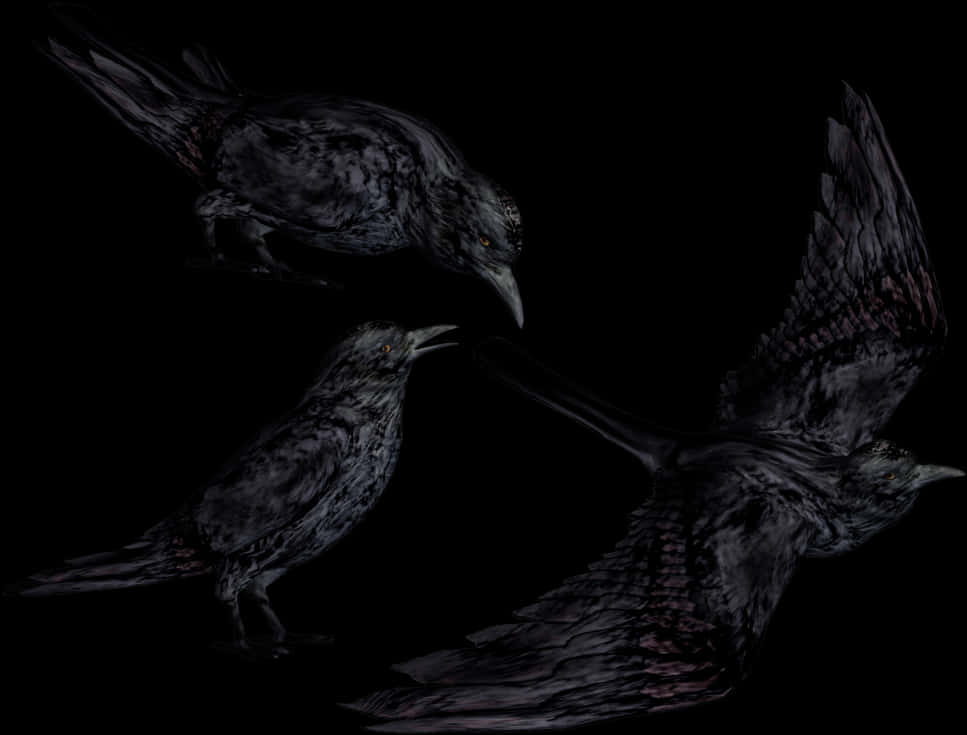 Mysterious_ Crows_in_ Darkness PNG Image