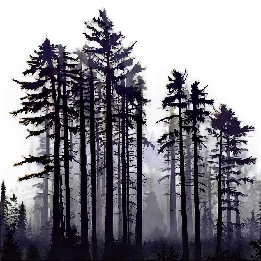 Mysterious Foggy Forest Png Nnq PNG Image