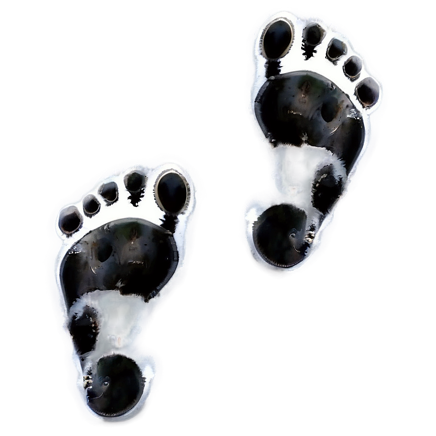 Mysterious Footprints Png Ylg PNG Image