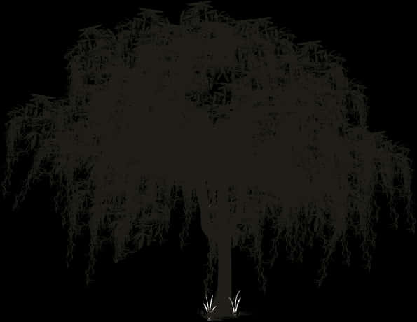 Mysterious Weeping Willow Silhouette PNG Image