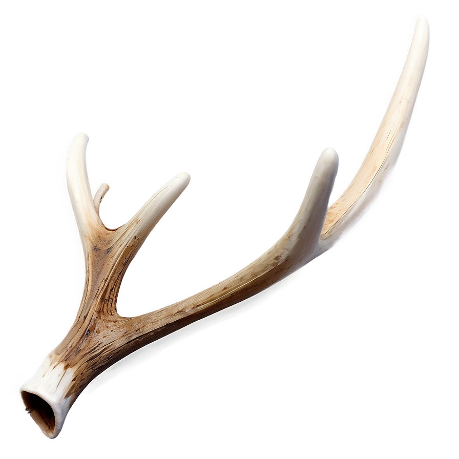 Mystic Deer Antler Png 06122024 PNG Image