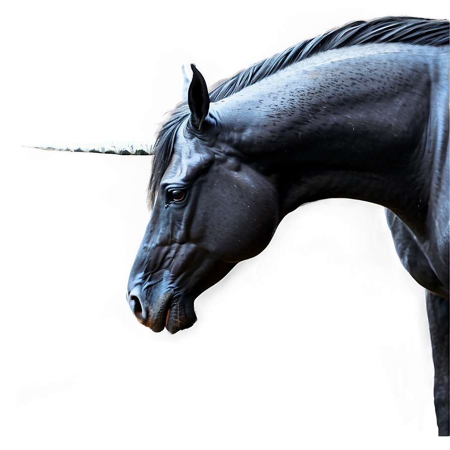 Mystical Black Unicorn Horse Png 06262024 PNG Image