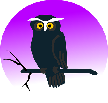 Mystical Night Owl PNG Image