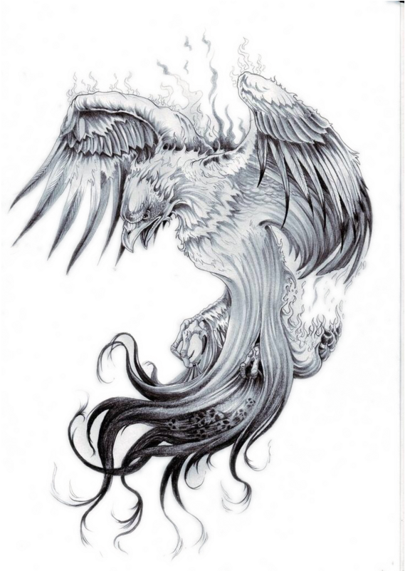 Mystical_ Phoenix_ Rising_ Tattoo_ Design PNG Image