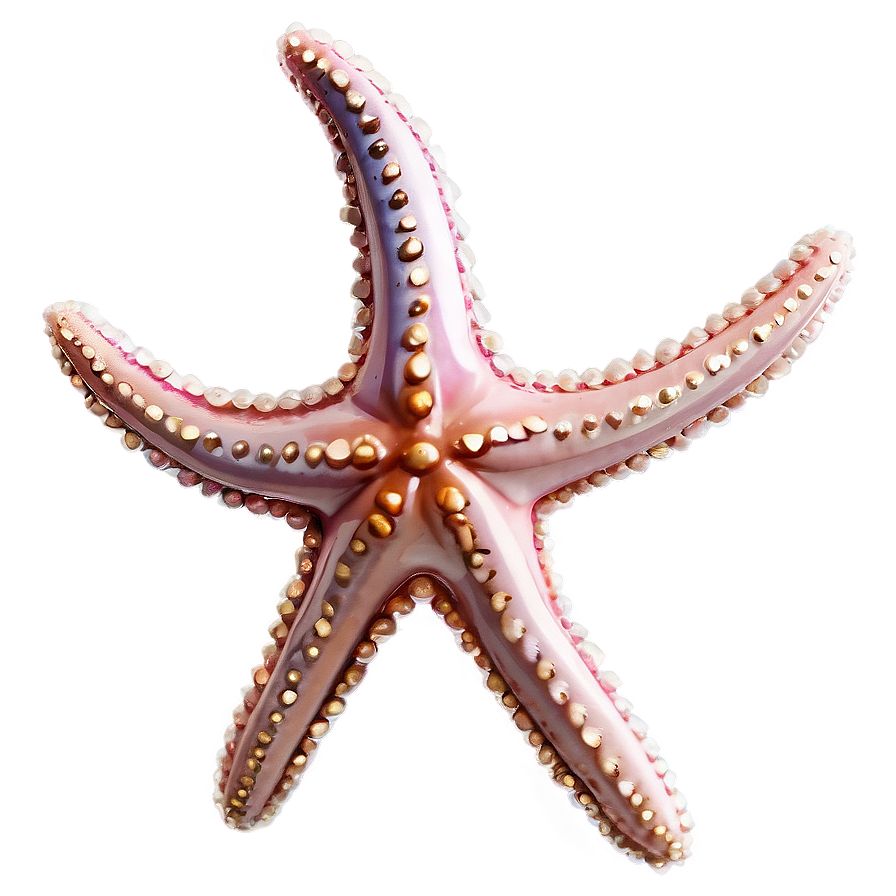 Mystical Starfish Amulet Png Eqd26 PNG Image