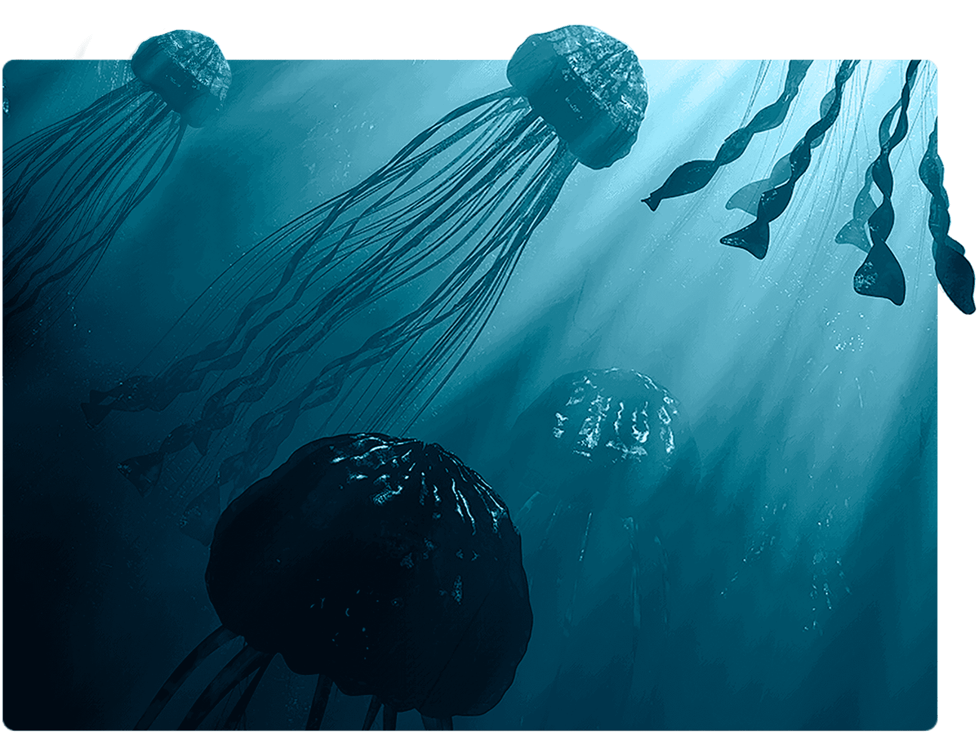 Mystical_ Underwater_ Jellyfish_ Scene.jpg PNG Image