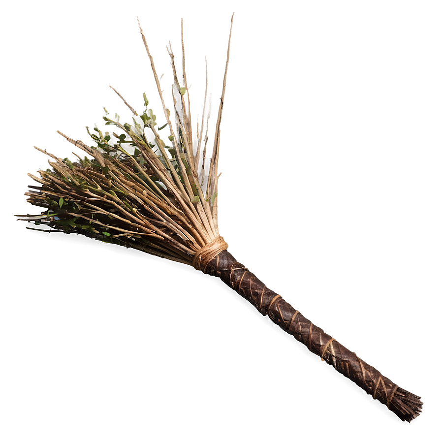 Mystical Witches Broom Png 53 PNG Image