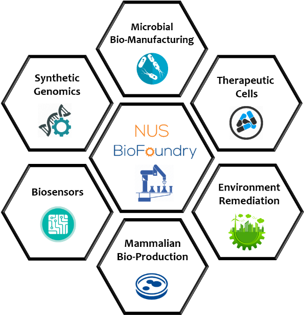 N U S_ Bio Foundry_ Research_ Areas PNG Image