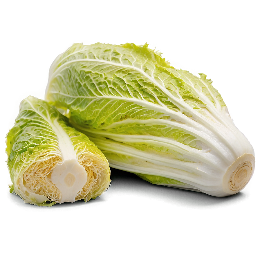 Napa Cabbage Png 06122024 PNG Image