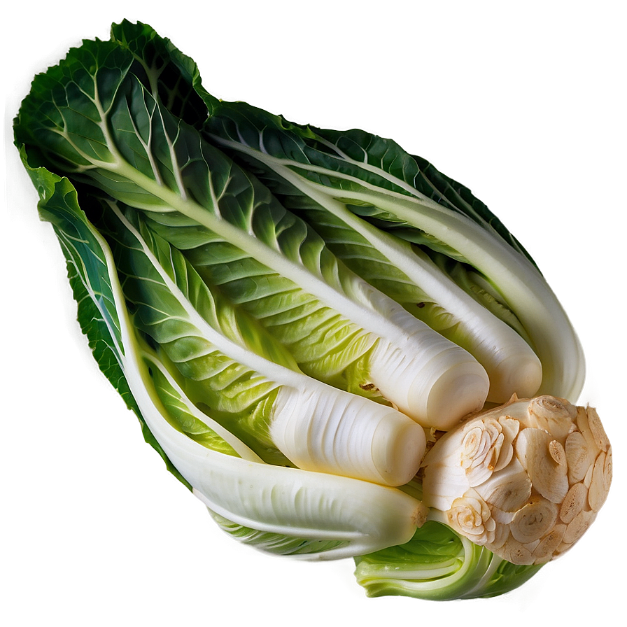 Napa Cabbage Png 06122024 PNG Image