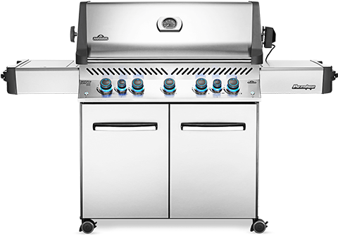 Napoleon Stainless Steel Gas Grill PNG Image