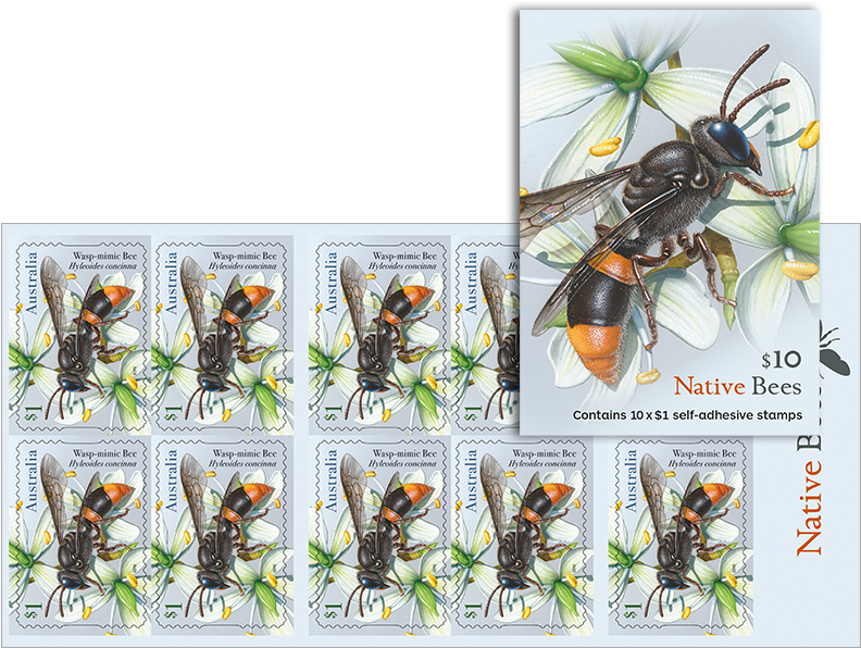 Native Bee Wasp Mimic Stamp Sheet PNG Image