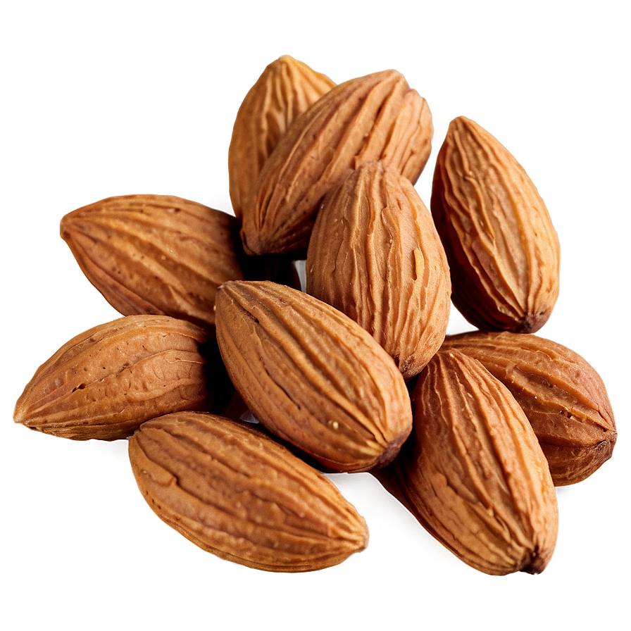 Natural Almond Png 05242024 PNG Image