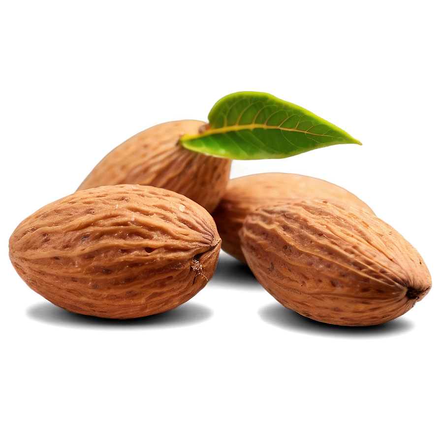 Natural Almond Png Uff PNG Image