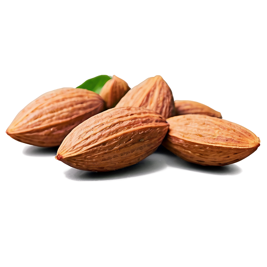 Natural Almond Png Xir PNG Image