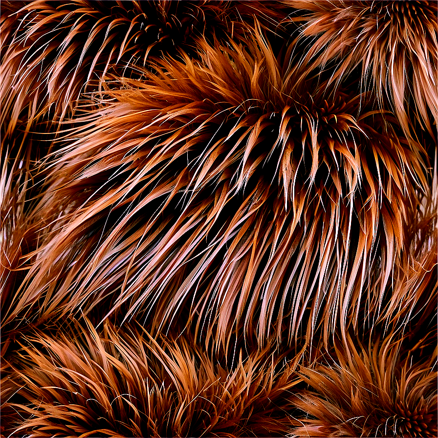 Natural Fur Texture Png Sup49 PNG Image