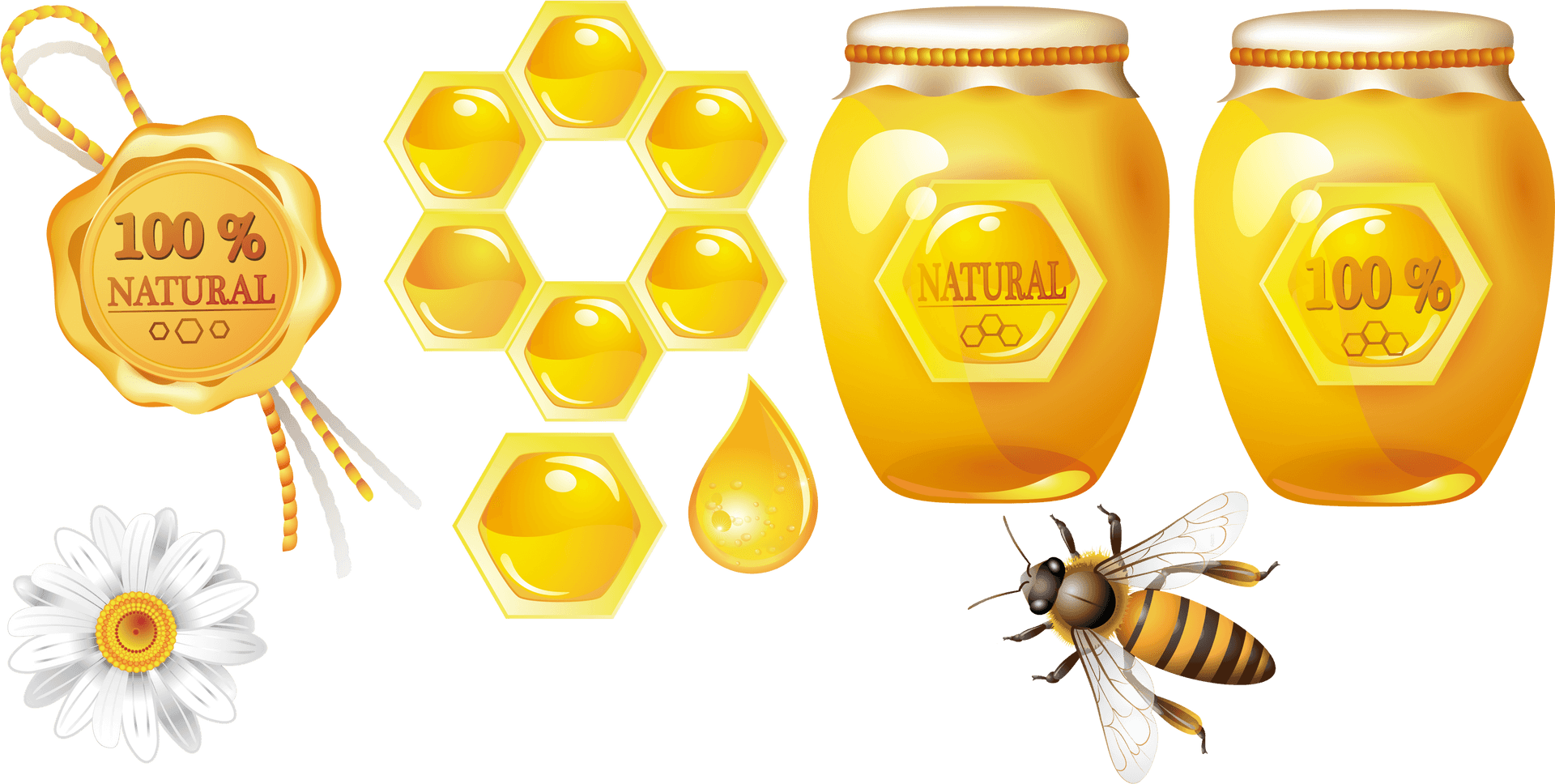 Natural Honey Themed Graphic Elements PNG Image