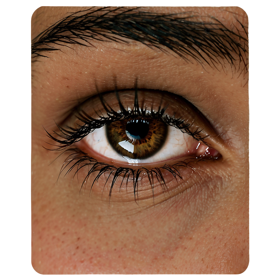 Natural Look Lashes Png Guh PNG Image