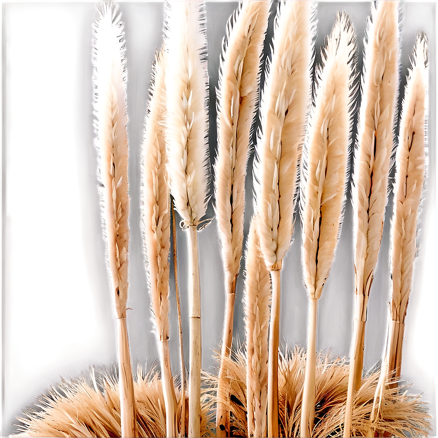 Natural Pampas Arrangement Png Hkj PNG Image