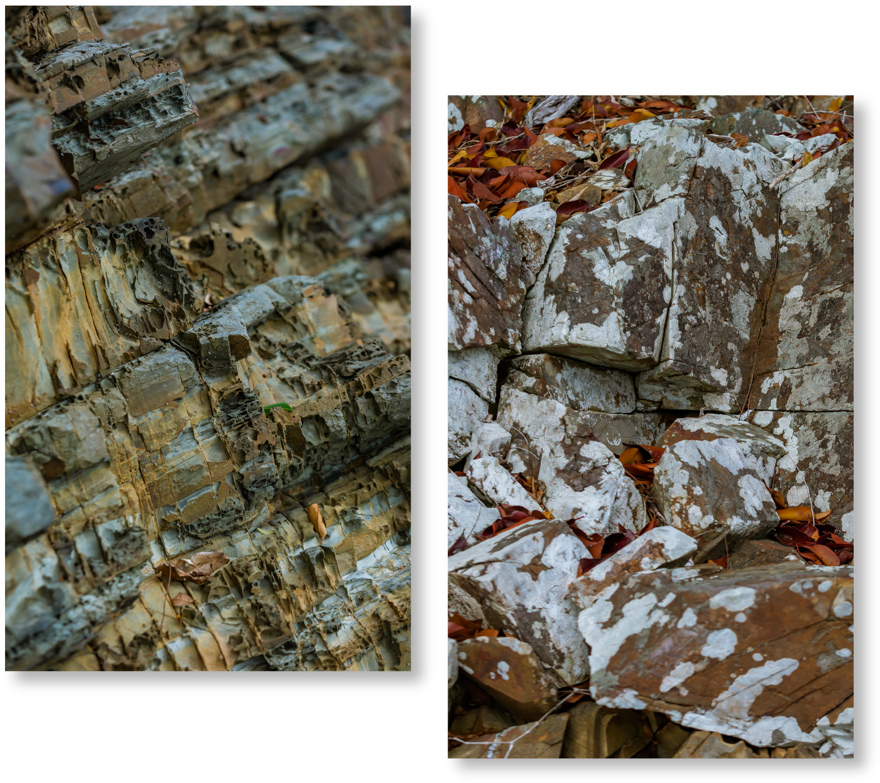 Natural Rock Textures Dual Display PNG Image