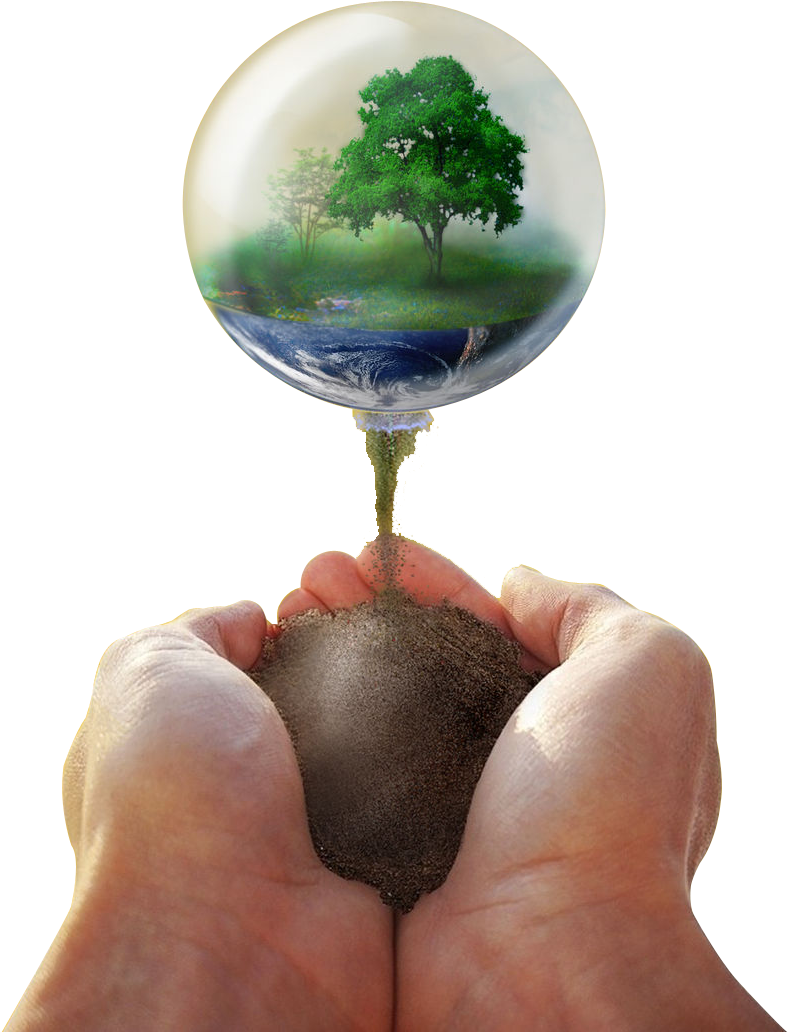 Nature Bubble Emergingfrom Mud PNG Image