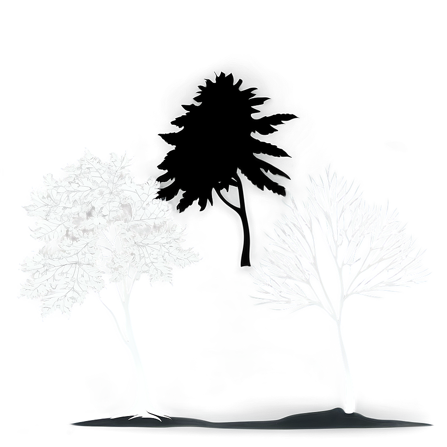 Nature Outline Silhouette Png 30 PNG Image