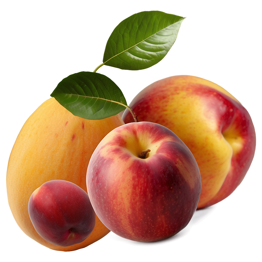 Nectarine And Peach Png Hbi PNG Image