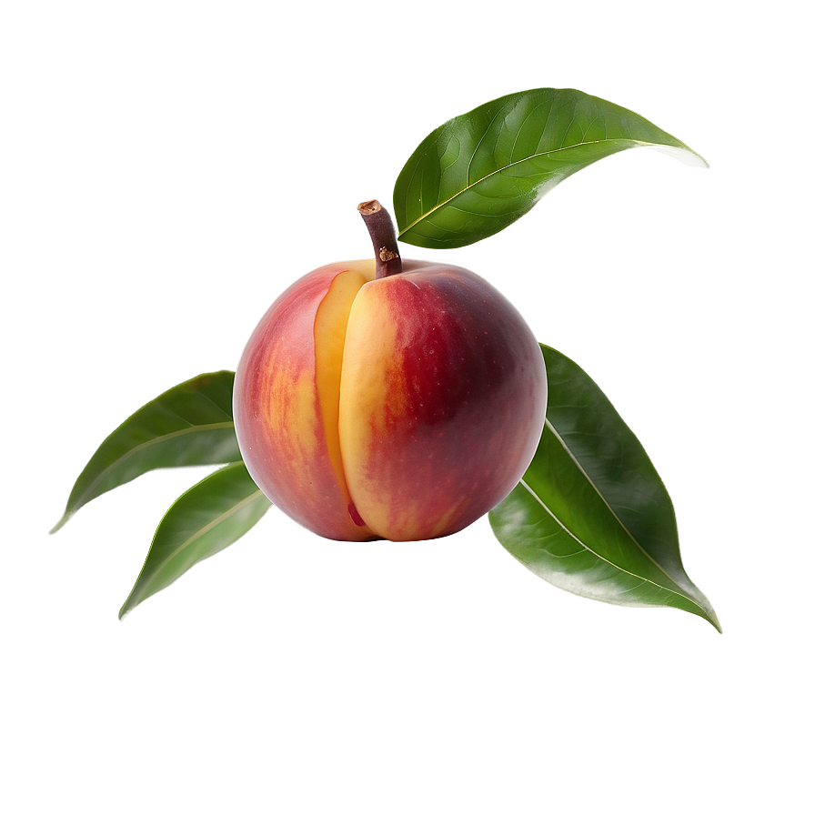 Nectarine C PNG Image