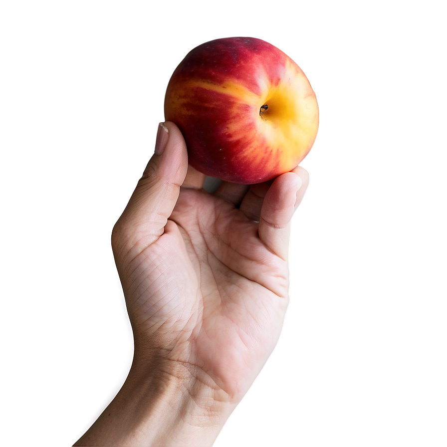 Nectarine In Hand Png Dvh PNG Image