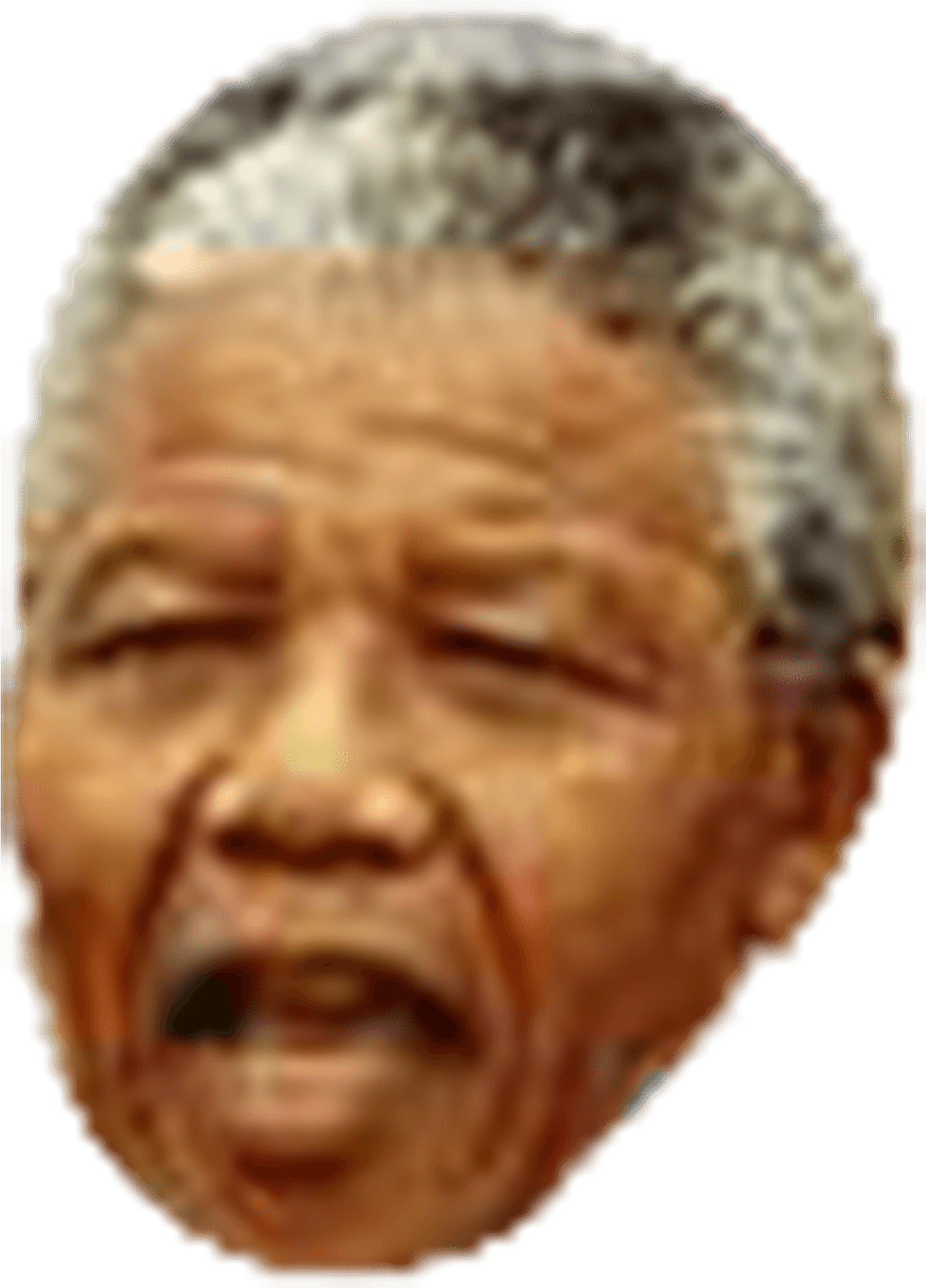 Nelson Mandela Portrait PNG Image