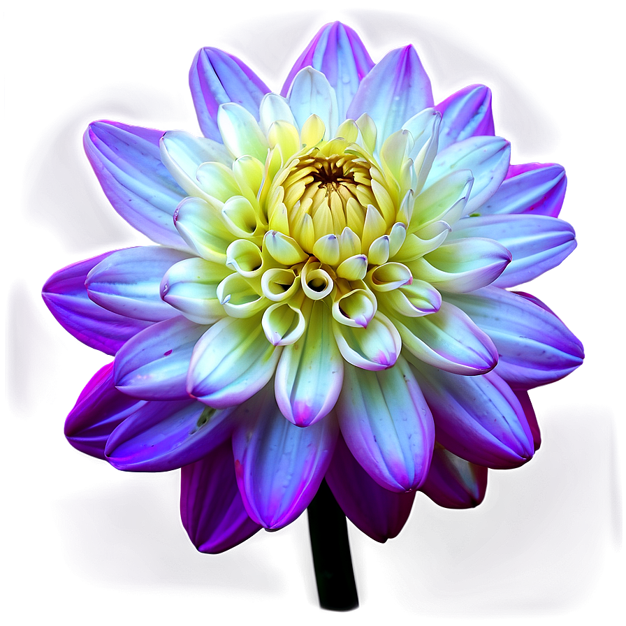 Neon Dahlia Glow Png 30 PNG Image