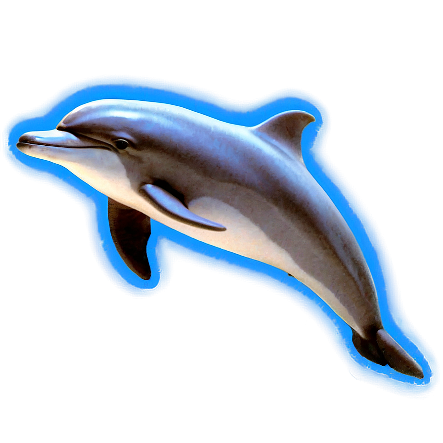 Neon Dolphin Png Vdx PNG Image