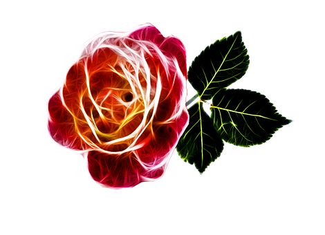 Neon Glow Rose Art PNG Image