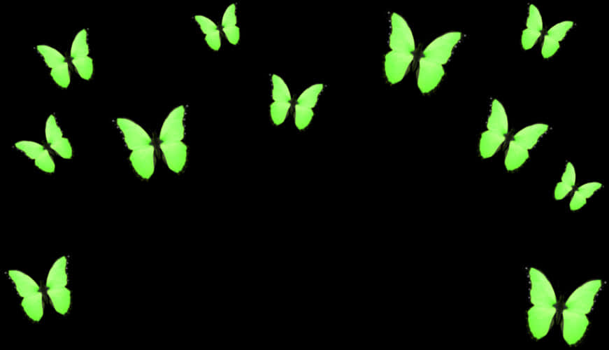 Neon Green Butterflies Black Background PNG Image