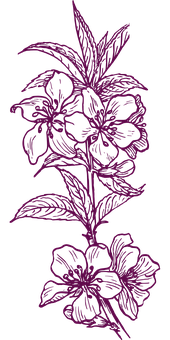 Neon Outline Floral Art PNG Image