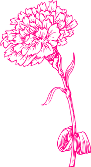 Neon Pink Flower Sketch PNG Image