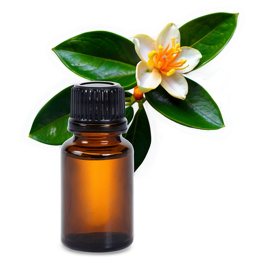 Neroli Essential Oil Png 76 PNG Image