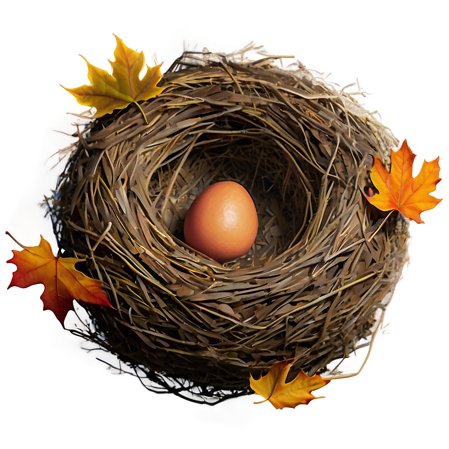 Nest In Autumn Png 05252024 PNG Image