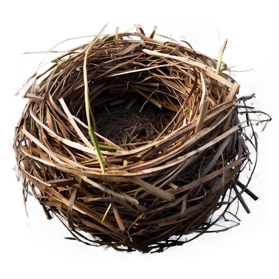 Nest In Meadow Png Byt PNG Image