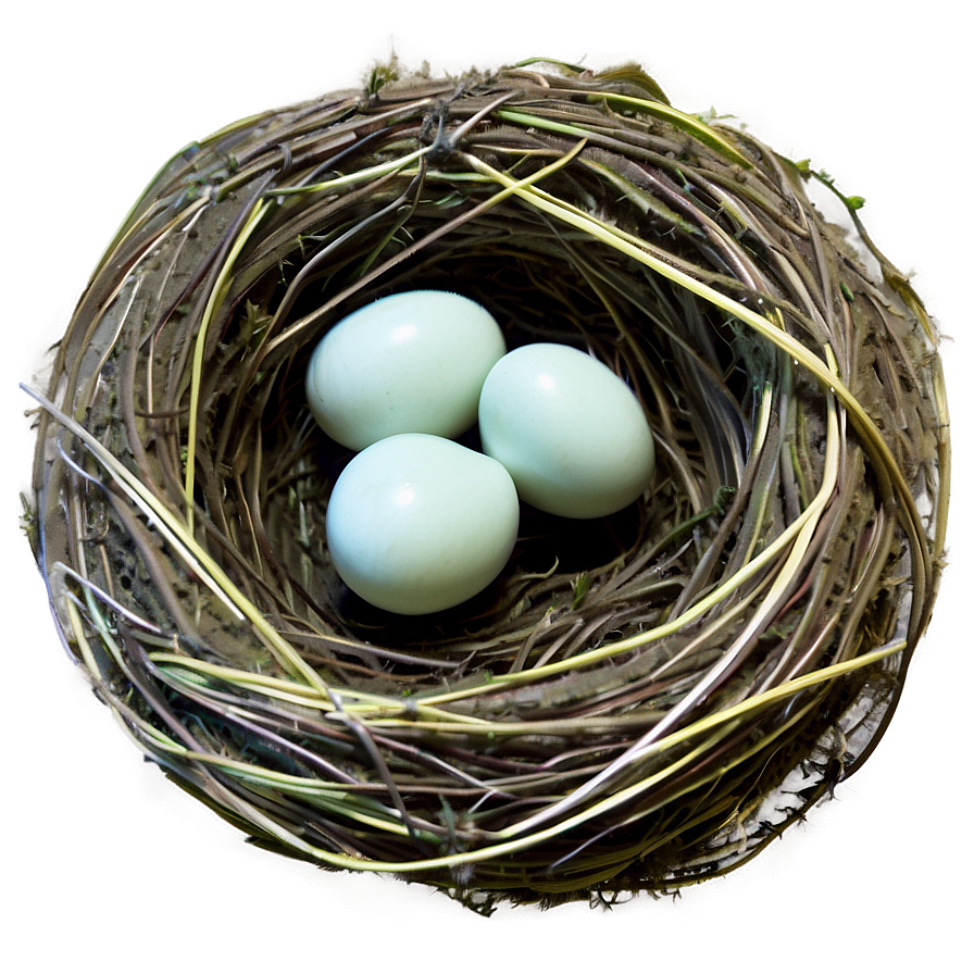 Nest On Ground Png Mbg39 PNG Image