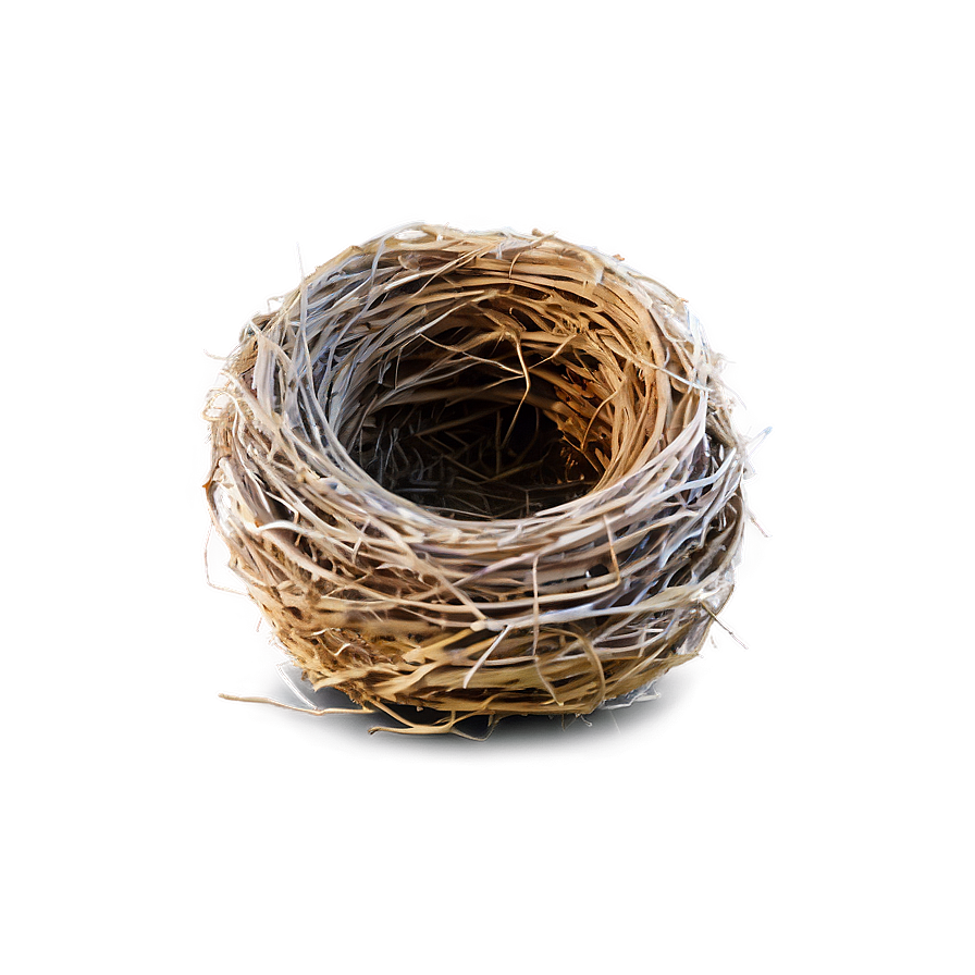 Nest Outline Png Vcl PNG Image