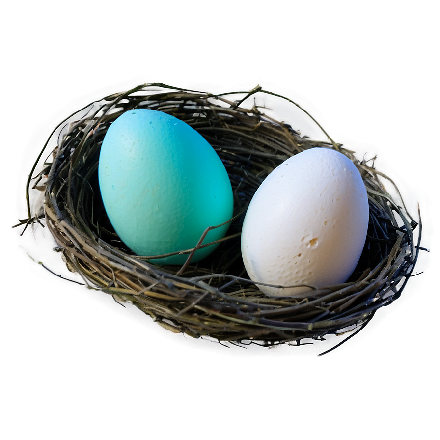 Nest With Eggs Png 29 PNG Image