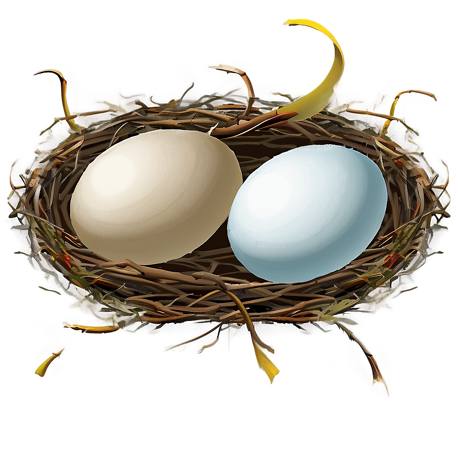 Nest With Eggs Png Efk PNG Image