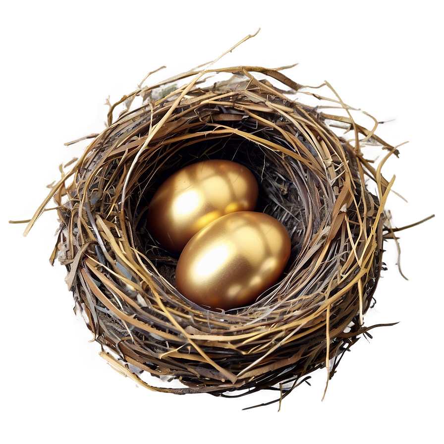 Nest With Golden Eggs Png Bal10 PNG Image