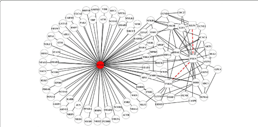 Network Analysis Graph PNG Image