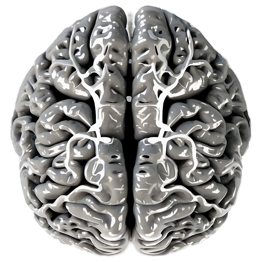 Neurology Brain Outline Png Vaq PNG Image