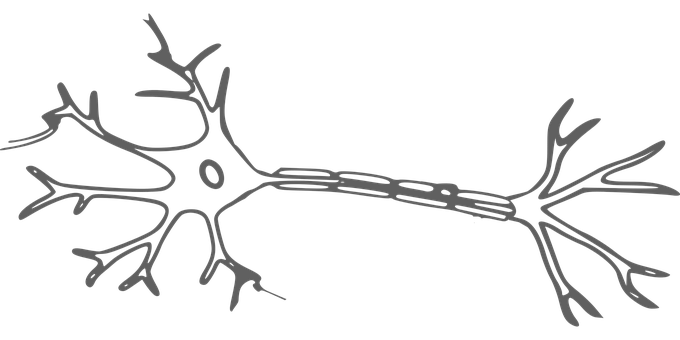 Neuron Silhouette Art PNG Image